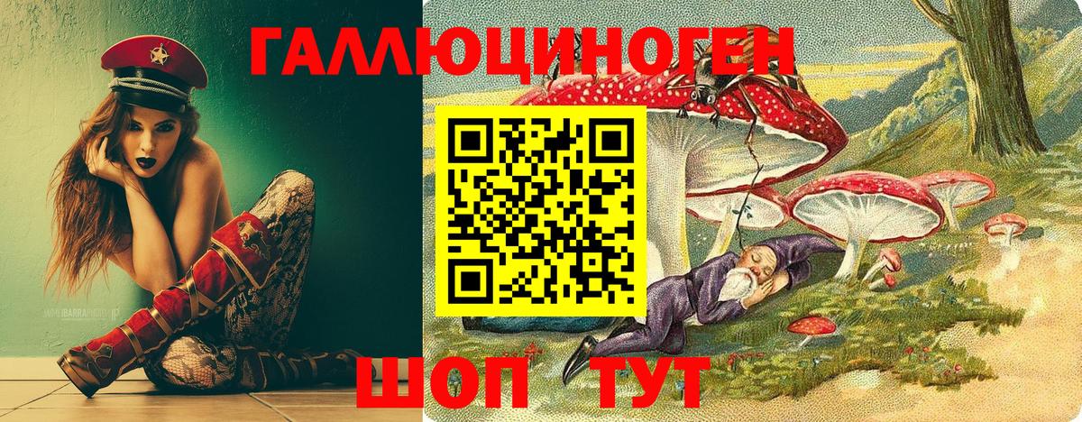 закладки  Вход с VPN  Галлюциногенные грибы Magic Shrooms  Тимашёвск  Псилоцибиновые грибы Psilocybe 